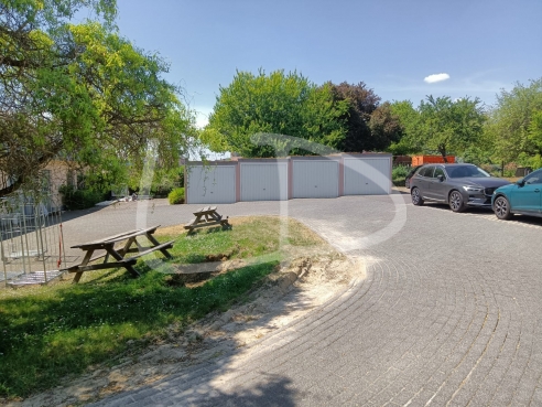 3 Image 2022-05-18.jpeg